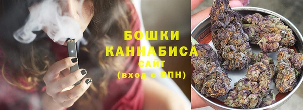 PSILOCYBIN Алексин
