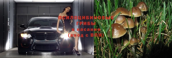 PSILOCYBIN Алексин